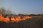 金門一年發生280件火災　不當燃燒雜草成主因佔9成