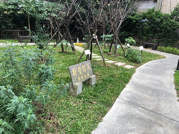 由廢墟改造的公園「新營榕苑」有許多設施為里長自行設計。圖／馬聖傑攝