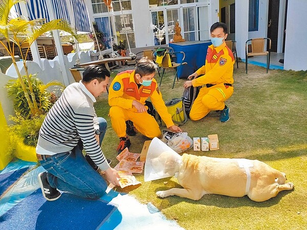 台東縣太麻里鄉1間民宿主人飼養的退役搜救犬「貝斯」，遭咬路過的比特犬咬傷，縫了近百針。（翻攝自戴永明臉書／蔡旻妤台東傳真）