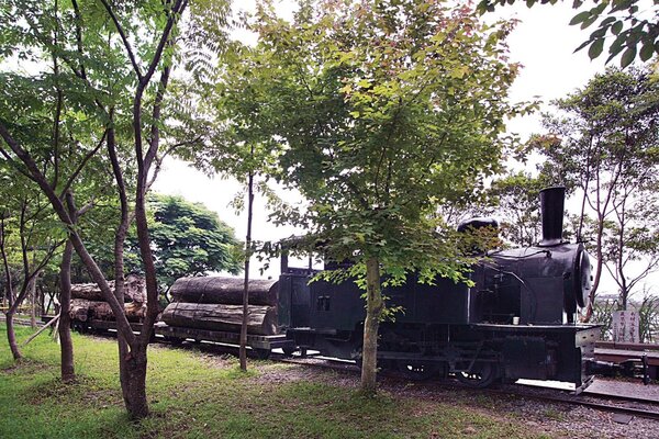 太平山森林鐵路復甦計畫的路線之一穿越羅東林業文化園區，由於會破壞文資法的文化景觀，引起不少反彈。圖／羅東林管處提供