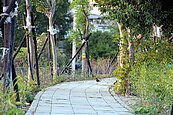 筏子溪水岸環境大蛻變　親水休憩好去處