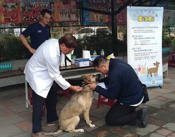 寵愛毛孩一起來,台中3、4月狂犬疫苗注射場次出爐。圖/台中市動保處提供