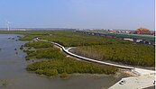 芳苑濕地紅樹林海空步道　可望暑假前開放