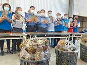 10億怎麼用　果農盼1台斤補助8元