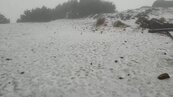 玉山飄三月雪逾1小時　氣象局：9日前都還有降雪機會