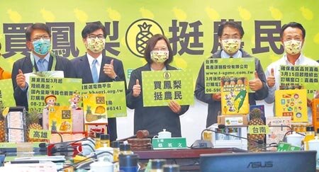 大陸3月起禁止我國鳳梨輸入,從府院到各地方政府都動起來促銷,惟專家認為,現行鳳梨價格明顯與人為因素有關,只是讓鳳梨崩盤時間延後。圖/中時報系資料照