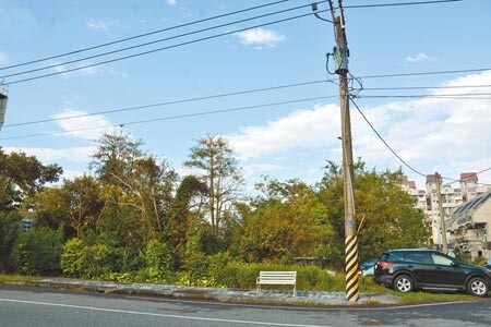 中央政府規畫在花蓮市美崙地區興建花蓮縣首座社會住宅，401戶預計今年6月發包、3年內完工。（王志偉攝）