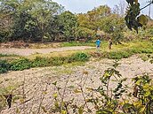 旱象未解　官田水雉園區乾巴巴