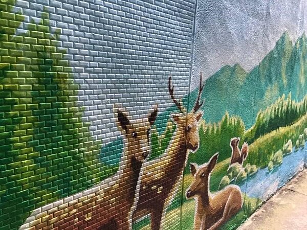 新店樂生活 美景樂 蘇高雪嬌 里長 建國里 中正路 彩繪市場