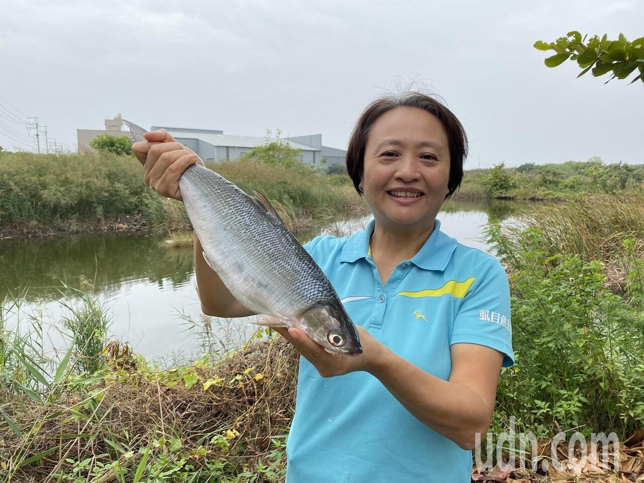 台南市漁民權益促進會指出，虱目魚在台灣有400多年歷史，堪稱「台灣第一魚」。圖／聯合資料照