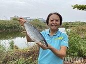 台南這項PK高雄略勝一籌？虱目魚被推薦當「市魚」