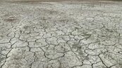 水情吃緊　2021年一期稻作嘉南1.8萬公頃恐先宣布停灌