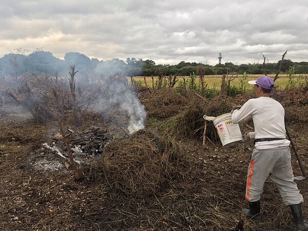 關渡平原禁止露天燃燒,民眾自行撲滅火焰。圖/台北市環保局提供