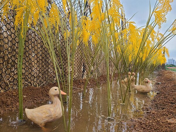 三重鴨鴨公園。圖/新北市府提供