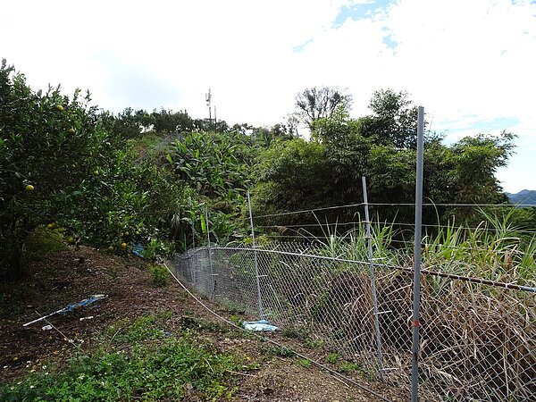 台中市政府農業局建議,農民可設置電圍網防治獼猴危害作物。圖/台中市政府提供