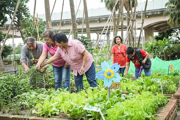 台北市從103年開始積極推動田園城市政策,6年來高達26萬人次民眾參與。圖/台北市政府提供