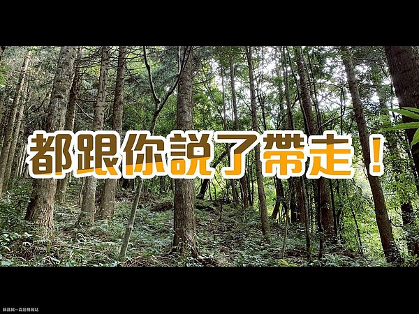 加里山出現大量排遺使用過的衛生紙,令人作嘔。圖/取自「林務局-森活情報站」