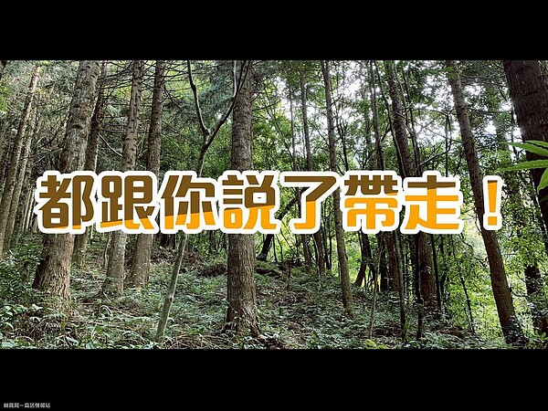 加里山出現大量排遺使用過的衛生紙，令人作嘔。圖／取自「林務局-森活情報站」