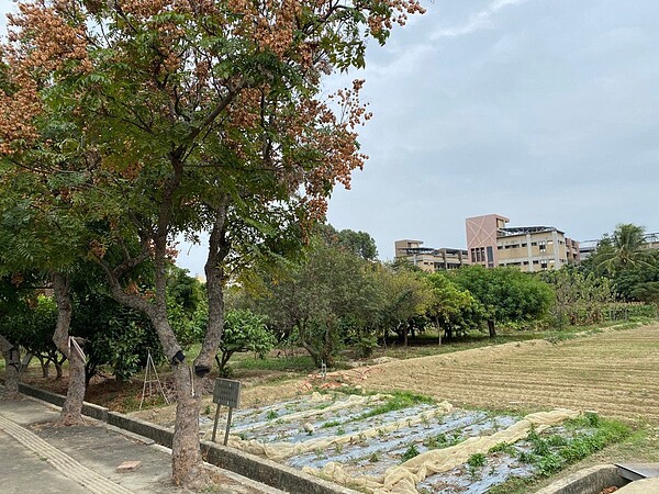 興大附農第二校區位黃金地段,國民黨議員指前市府搶地蓋第二辦公大樓,不符公義。圖/李中提供