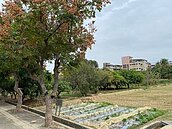 「搶」地王旁校地蓋第二大樓　藍議員指中市府將錯就錯