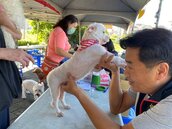 天母蘭興一號公園　免費幫寵物健檢、打疫苗