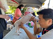 天母蘭興一號公園　免費幫寵物健檢、打疫苗