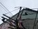 板橋清晨巨響1568戶停電10多分　原來是松鼠惹的禍