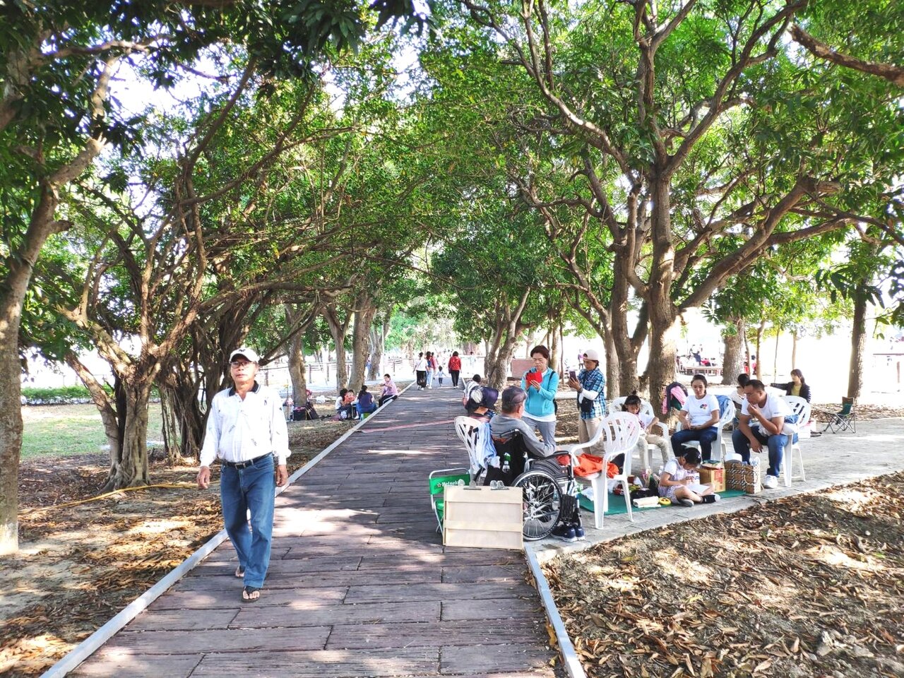 新營區長勝軍營保留大片綠樹，成為新興遊憩景點，今年還拿下公共建築景觀類園冶獎。記者謝進盛／攝影