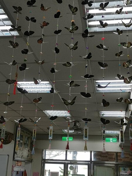 以蝴蝶群做室內裝飾，形成特色，非常值得賞遊。圖／陳忠賢攝