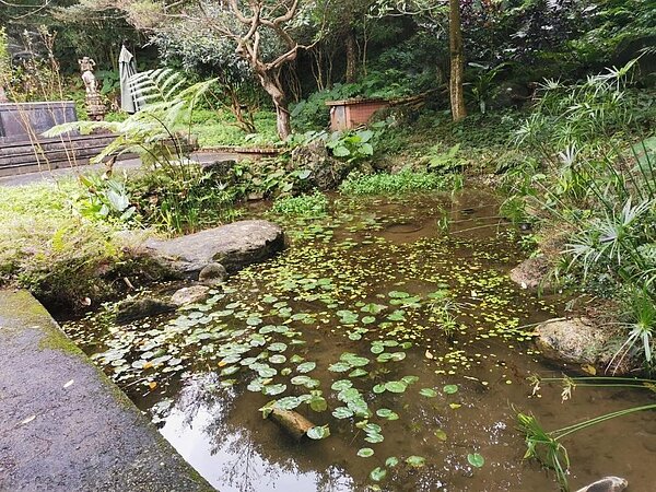 到水生態親子公園,欣賞到成群結隊的螢火蟲,美不勝收。圖/呂惠美提供