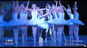 俄羅斯芭蕾舞團再添4確診　取消全部演出