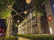 不收錢！中市開放行道樹掛燈飾　打造耀眼街景