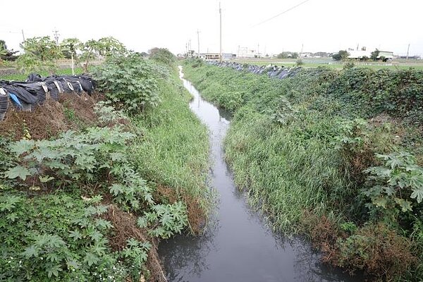 改善馬公厝大排,縣府引活水除臭、整修防汛道路。圖/雲林縣政府新聞處提供