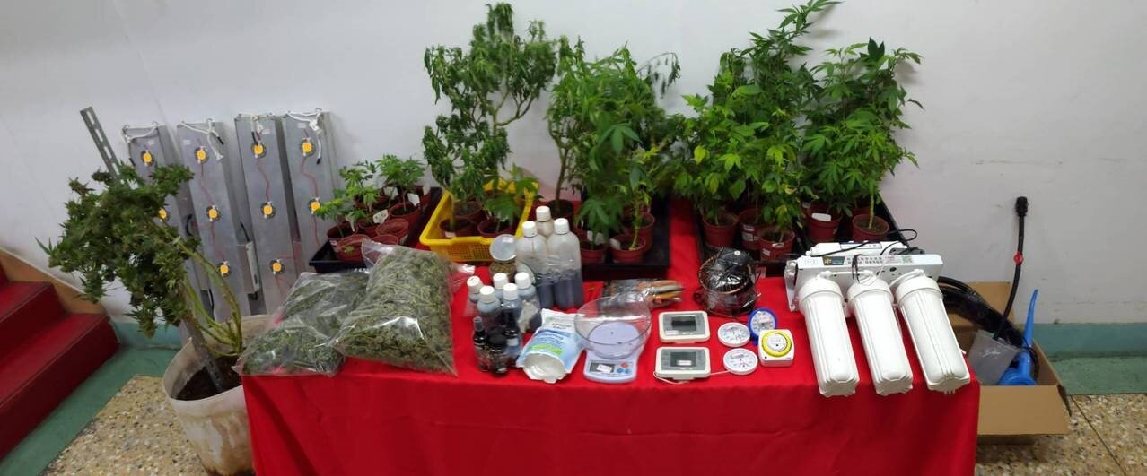 警方查扣大麻活株40株、大麻成品約莫1公斤等證物。記者柯毓庭/翻攝