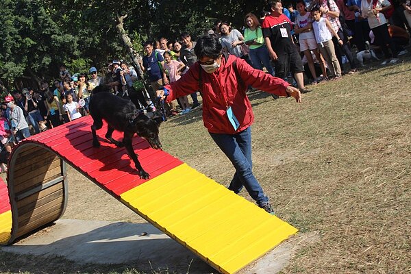 南市安平區寵物公園內,有波浪板讓犬隻自在運動。圖/南市農業局提供