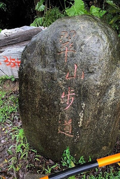 翠山步道是不少登山客必去的地點之一。/攝自周希雯