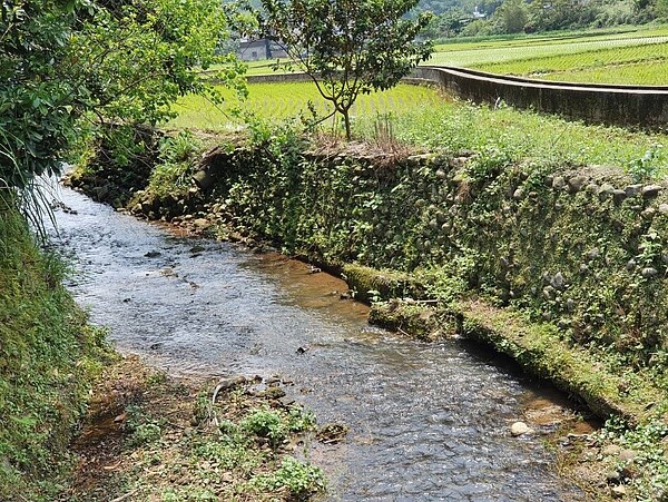 南勢溪福德堂護岸老舊。圖／新北市水利局提供