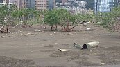 淡水河廢熱點　紅樹林變垃圾林