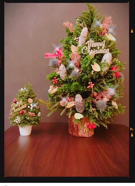 漫果子桌遊店舉辦聖誕樹花圈DIY活動。圖/南港樂生活 X 有你有我提供