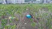 18萬公升廢棄物流入淡水河　紅樹林慘成「垃圾林」