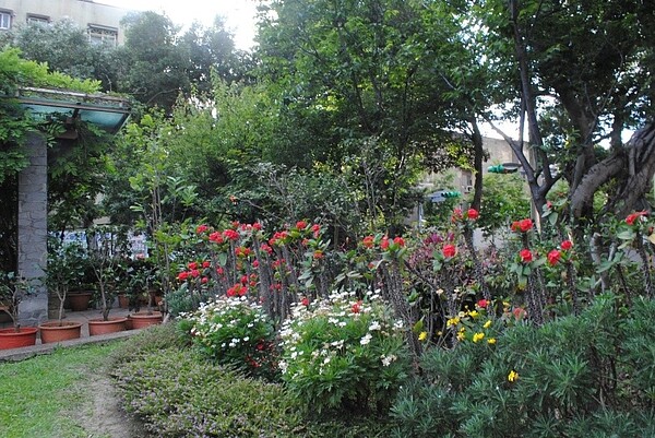 新中公園,種滿鄭玉梅精心挑選的花卉。張愷丰/攝