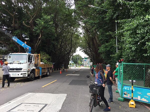 定期維護綠色隧道的樹枝樹葉。圖／廖詠琦攝