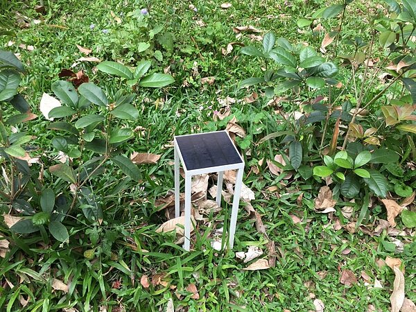 學校設有許多太陽能板，可吸收太陽能供電器使用。（攝自周佳蓉）