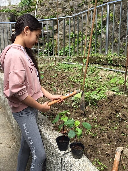 雙溪國小積極推動食農教育課程。（圖／林祐瑄攝）