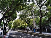 台北「這條路」故事多　禁天橋、種樹全為國家安全