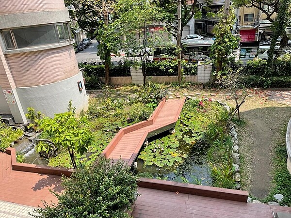 蘭雅國小校內的生態池,池內有上千條蓋斑鬥魚,有效防止登革熱。(圖/劉佩婷攝)