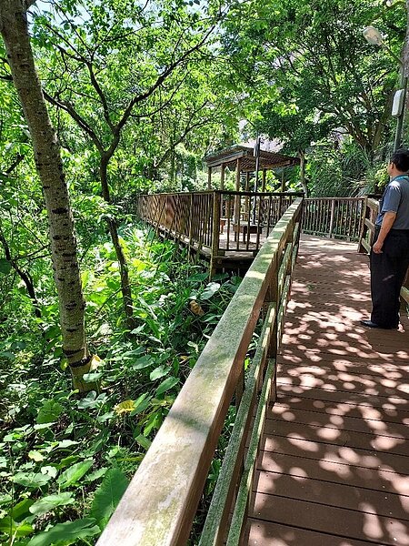 部落風格的木棧步道，在陽光下閃爍。圖／夏曉山攝
