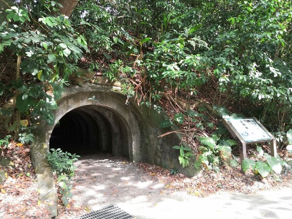 富陽自然生態公園保留了許多軍事遺址。 圖／吳佳燕