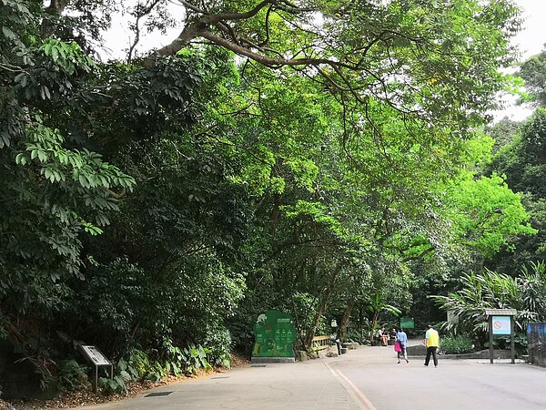 富陽自然生態公園環境。 圖／吳佳燕