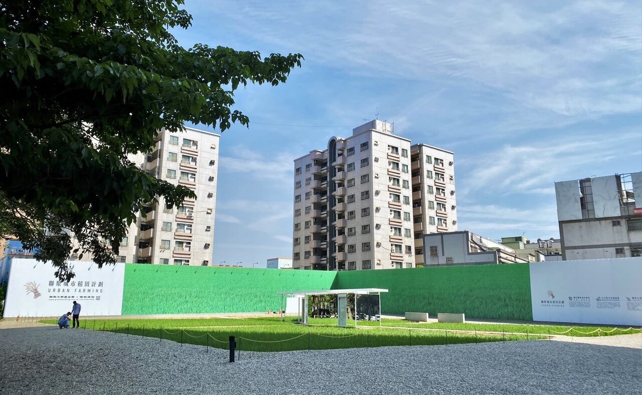 聯聚利用基地開發前的閒置時期，還原土地初心種植一畝稻田。記者宋健生/攝影